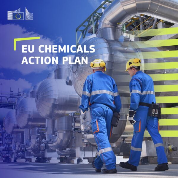 ECRN officially recognised in the European Commission’s new Chemicals Industry Action Plan